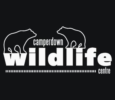Video Production Clients 36 Camperdown Wildlife Centre Logo Son Of the Sea Video Production | Creative Video Services UK