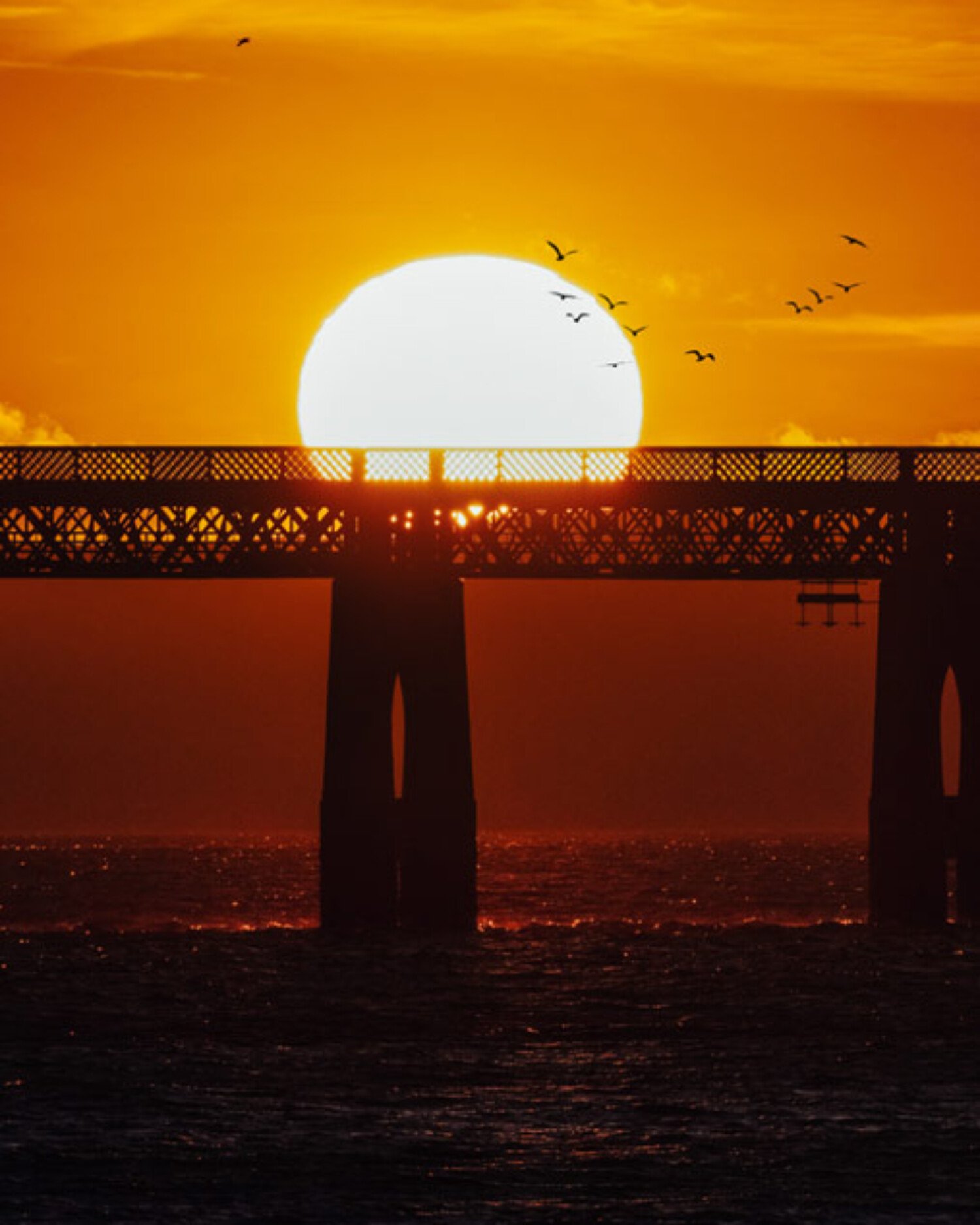 Home 9 Home page Thumb Dundee Tourism Video Son Of the Sea Video Production | Creative Video Services UK