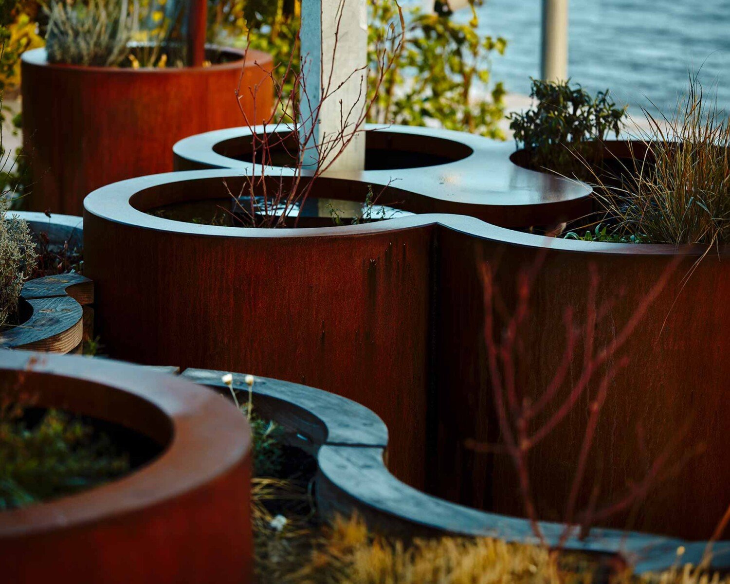 Home 31 VA Community Garden Featured Image Son Of the Sea Video Production | Creative Video Services UK